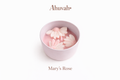 Mary's Rose